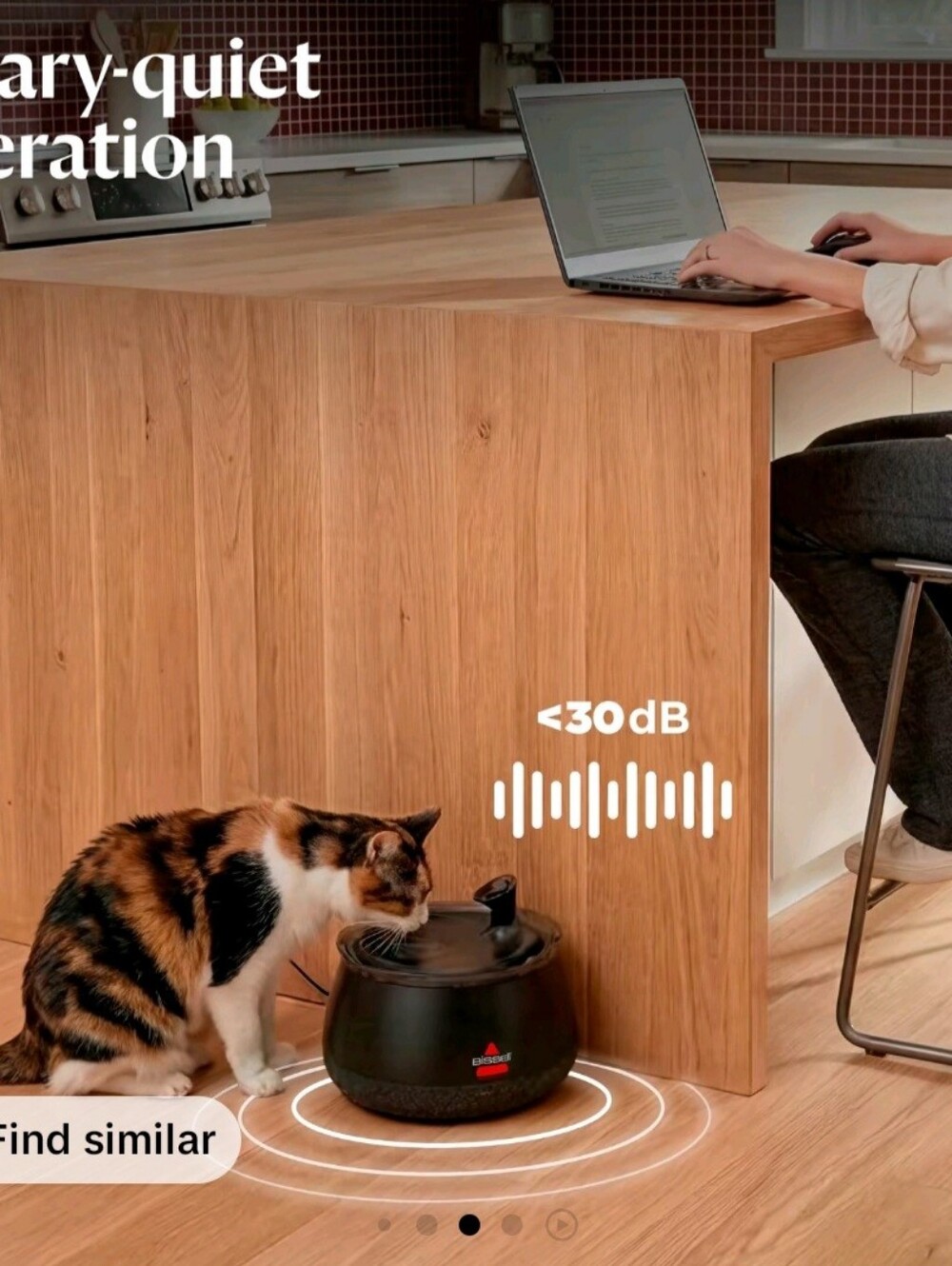 Bissell Black Automatic Cat Water Fountain